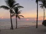 Dominicana Rep.
Playas de Punta Cana