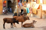 Jaisalmer, India