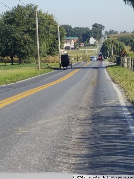 Amish
un dia normal en el condado de los Amish
