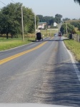 Amish
Amish, normal, condado