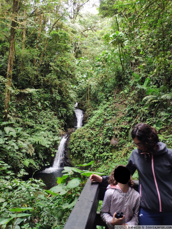 COSTA RICA 2020 con niña de 6 años   pura_vida_viajera - Blogs de Costa Rica - DIA 6 PACIFICO - MONTEVERDE (3)