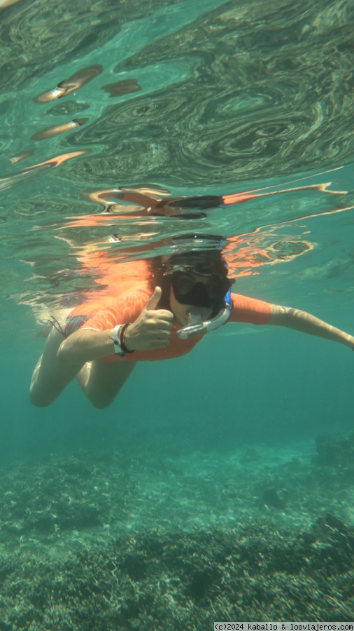 Descubriendo Colombia en familia 2024 - Blogs de Colombia - DIA 14: ISLA MUCURA (Tour Snorkel y Tour Plancton Bioluminiscente) (2)