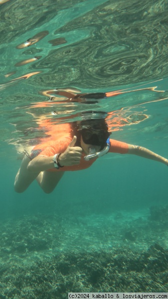 Tour Snorkel
Tour Snorkel
