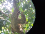 Parque Nacional Manuel Antonio