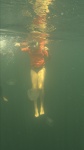 Tour de Medusas en Manglar