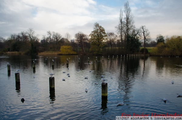 Hyde Park
Lago
