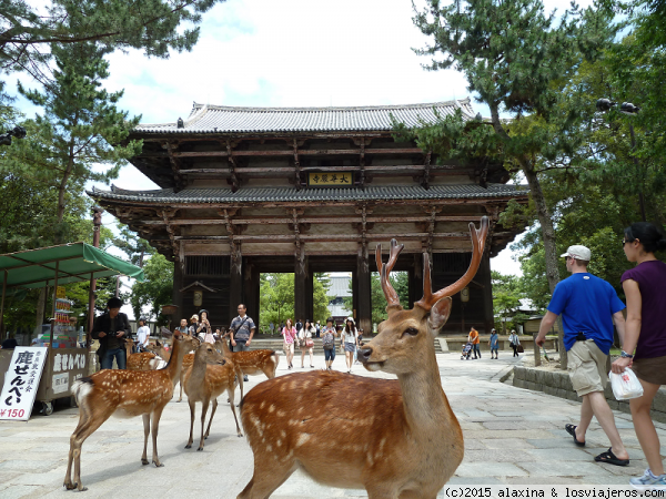 Nara
Entrada hacia el Todai Ji
