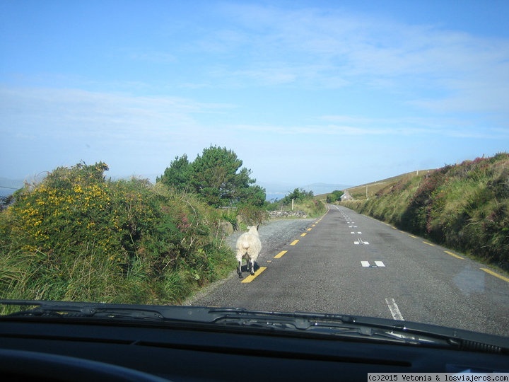 Foro de Coche: Carreteras irlandesas