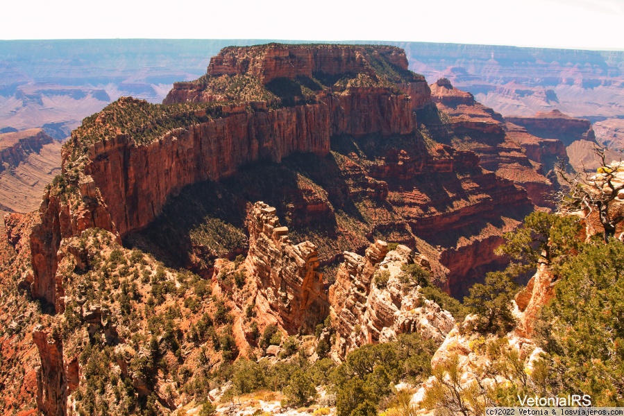 Gran Cañón, North Rim - Ruta por el Oeste Americano (2)