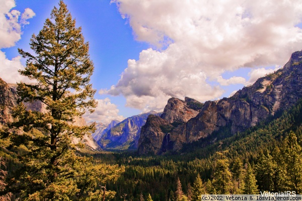 Parque Nacional de Yosemite
Tunel View
