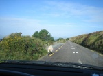 carreteras irlandesas