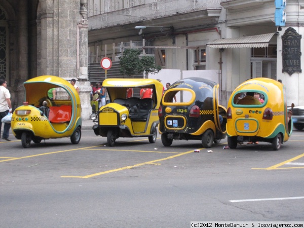 Coco-taxis
Uno de los característicos transportes turísticos de La Habana.

