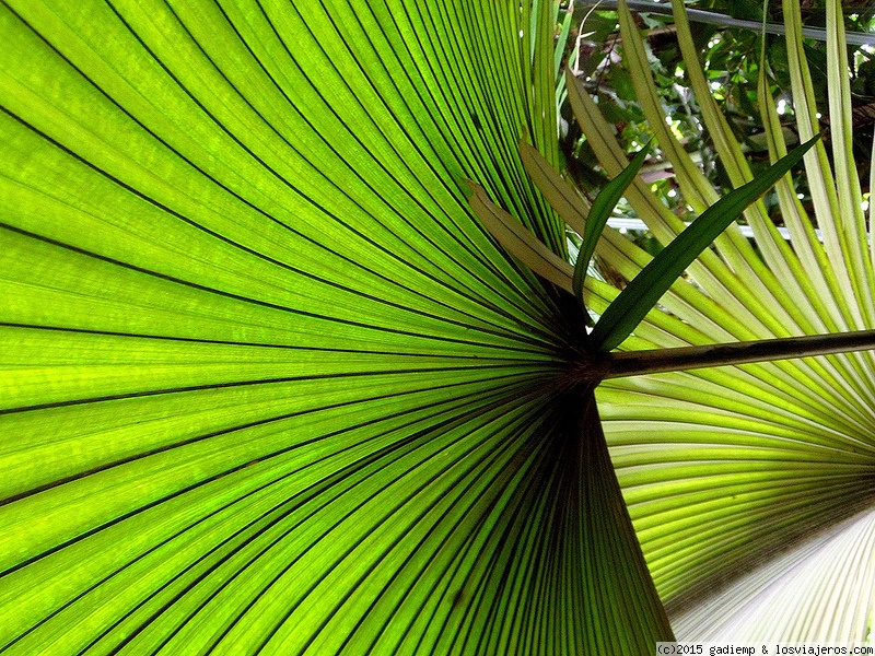 Londres: Kew Gardens