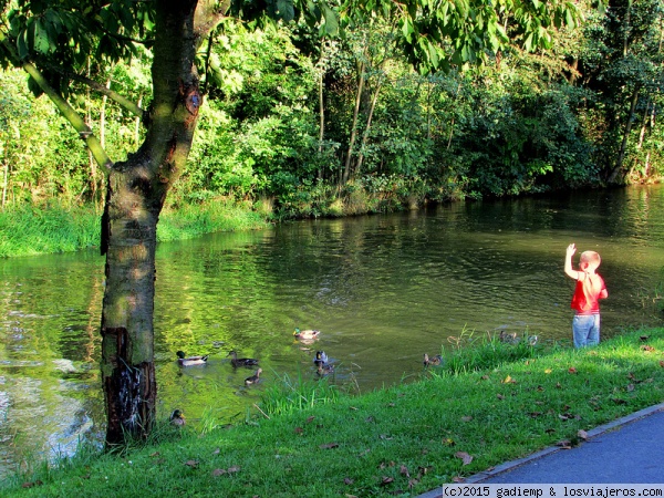 El río Morava
Por el río Morava, entre Olomouc y Podebrady
