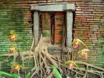 Tainan: A window of Anping tree-house