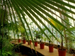 Palm House in Royal Botanical Gardens Kew