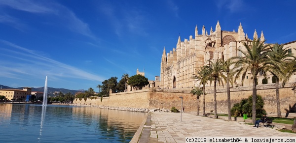 Muralla Catedral Palma de Mallorca
Muralla Catedral Palma de Mallorca
