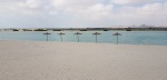 Sir Bani Yas Island