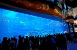 Exterior del acuario - Centro comercial Dubai Mall