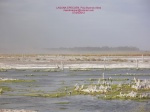 CARHUE termas saladas, LAGO EPECUEN
CARHUE, TERMAS SALADAS ARGENTINA, AGUAS MILAGROSAS, AGUAS QUE CURAN ARGENTINA