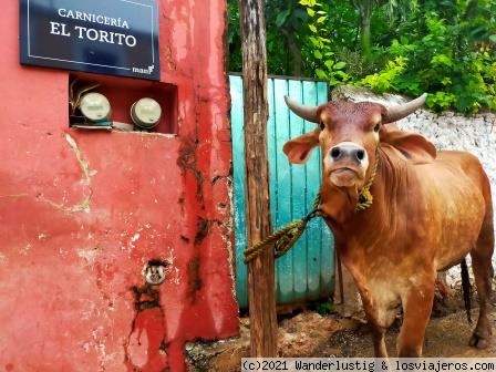 LA MEJOR PUBLICIDAD
No se si esto es maltrato animal, pero lo que está claro es que el propietario de la carnicería tiene muy buenas dotes de marketing para anunciar sus productos.
