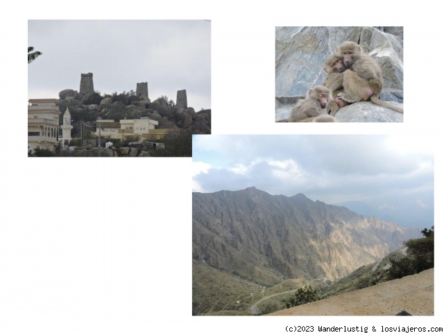 BALJURESHI
Baljureshi
