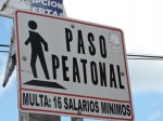 PASO DE PEATONES
PASO, PEATONES, Estos, Yucatán, avisos, están, todo, debiendo, parar, para, ceder, paso, viandantes, pena, pagar, esos, salarios, mínimos