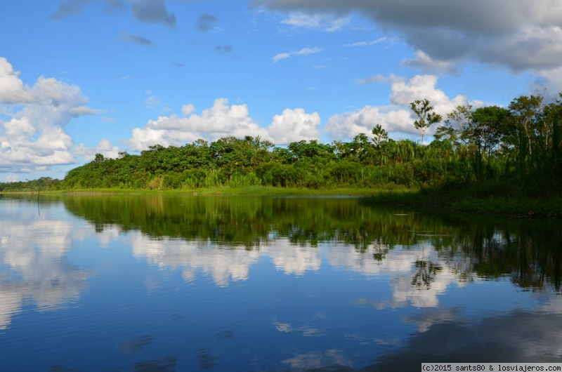 Foro de Amazonía: Reflejo en el río Napo