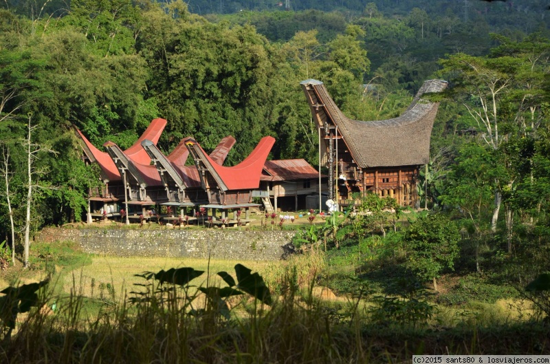 Forum of SULAWESI in Sudeste Asiático: Tongkonan en Tana Toraja