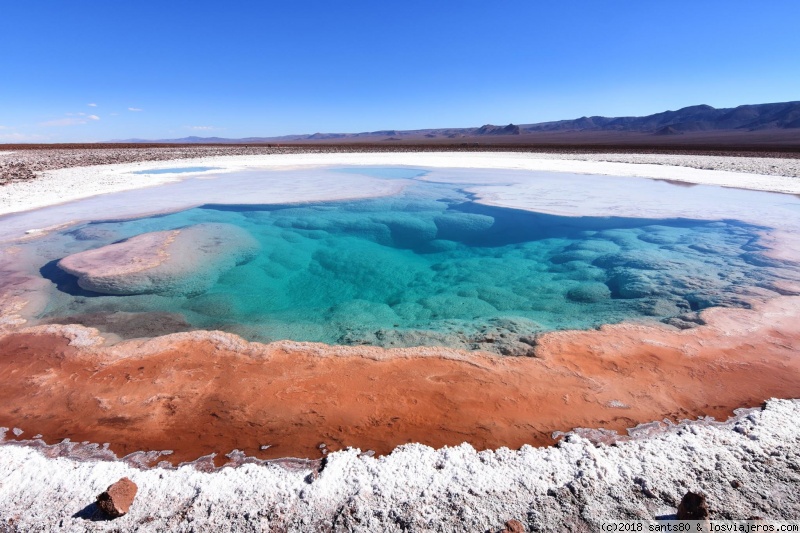 Foro de Atacama: Lagunas Baltinache, Desierto de Atacama.