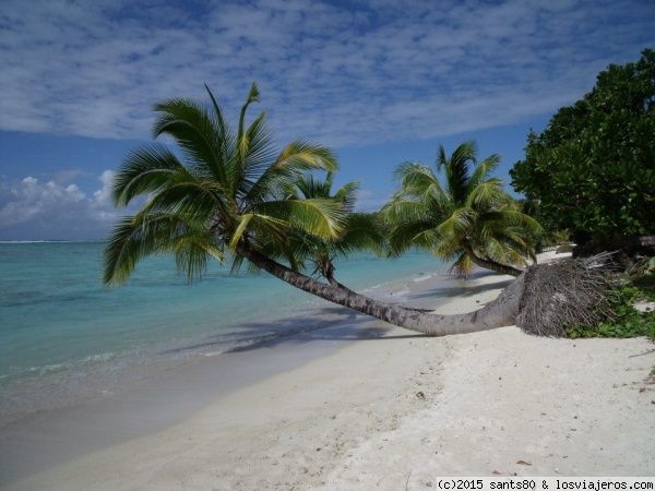 Nosy Nato
Determinar cuál es la mejor playa del mundo es una tarea difícil, pero os puedo asegurar que esta tiene poco que envidiarles a otras de 