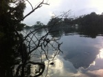 Tortuguero
Tortuguero, Descubriendo, barca