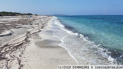 Playa Etzu Manu
Playa Etzu Manu
