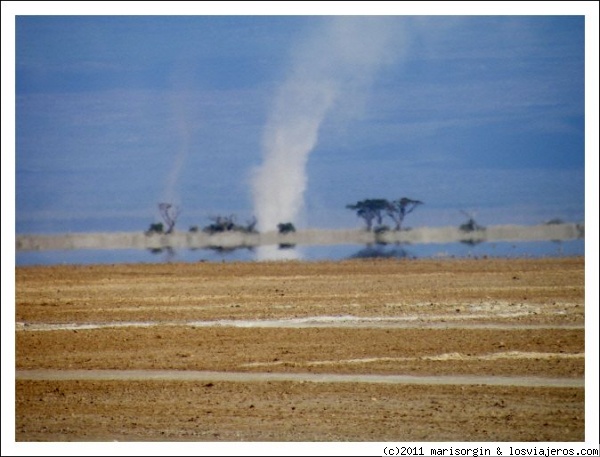 Tornado en Amboseli
Curioso fenómeno natural que se repite de forma habitual en el parque de Amboseli.
