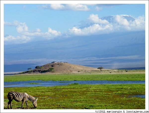 Amboseli y Kilimanjaro
Típica estampa del parque de Amboseli con el Kilimanjaro al fondo.
