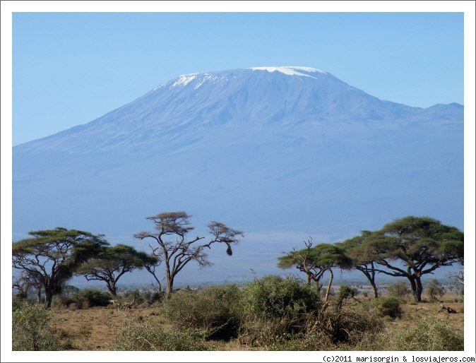 Los Bosques Mágicos de Kenia