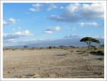 Amboseli y Kilimanjaro