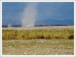 Tornado en Amboseli