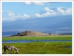 Amboseli y Kilimanjaro