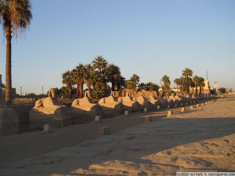 EGIPTO Y PARIS EN TOUR CON  AGREGADOS Y COSAS DISTINTAS - Blogs of Egypt - KARNAK (3)