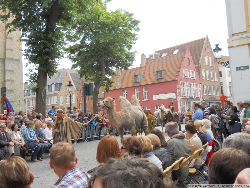 BRUJAS PARTE DOS - PARIS ALSACIA SELVA NEGRA HOLANDA Y BELGICA 2014 (6)