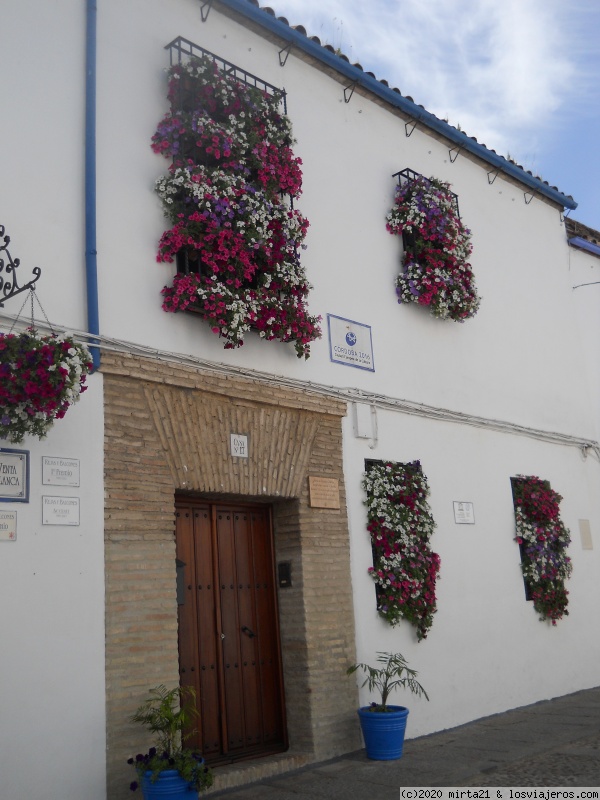 ANDALUCIA Y PORTUGAL CON COLORES Y FLORES - Blogs de Europa Sur - CORDOBA PARTE CINCO (5)