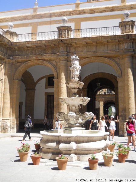 PATIO DE LA UNIVERSIDAD DE SEVILLA
PATIO DE LA UNIVERSIDAD DE SEVILLA ANDALUCIA
