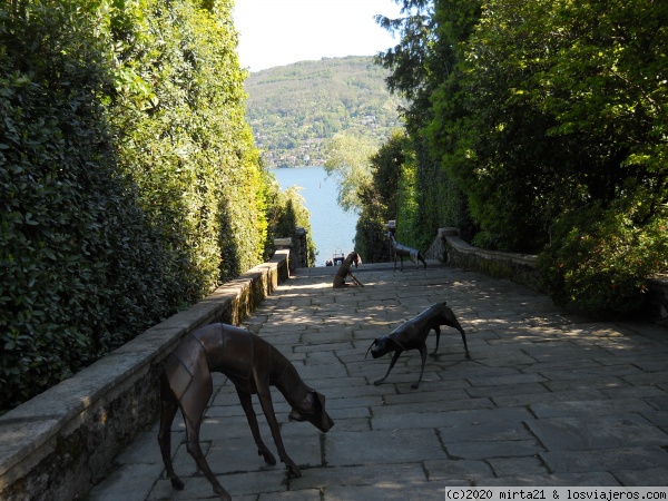 ISOLA MADRE EN LAGO MAGGIORE
CAMINO DE ENTRADA A LOS JARDINES DE ISOLA MADRE EN LAGO MAGGIORE
