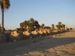 AVENIDA DE LAS ESFINGES DE KARNAK EN EGIPTO
AVENIDA, ESFINGES, KARNAK, EGIPTO