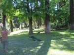 PARQUE DEL ALCAZAR DE SEVILLA