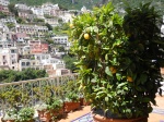 Positano vistas y limonero
Positano, Vistas, Costa, Amalfitana, vistas, limonero, desde, balcon