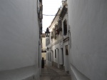 UNA CALLE DE LA JUDERIA EN EL CASCOANTIGUO DE CORDOBA
CALLE, JUDERIA, CASCOANTIGUO, CORDOBA, ANDALUCIA