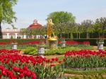 Jardines de Peterhoff
Jardines, Peterhoff, Ejemplo, hermosos, jardines, palacio, fuentes, esculturas, doradas