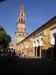 PATIO DE LOS NARANJOS DE LA MEZQUITA DE CORDOBA
PATIO, NARANJOS, MEZQUITA, CORDOBA, VISTA, CAMPANARIO, DESDE, ANDALUCIA